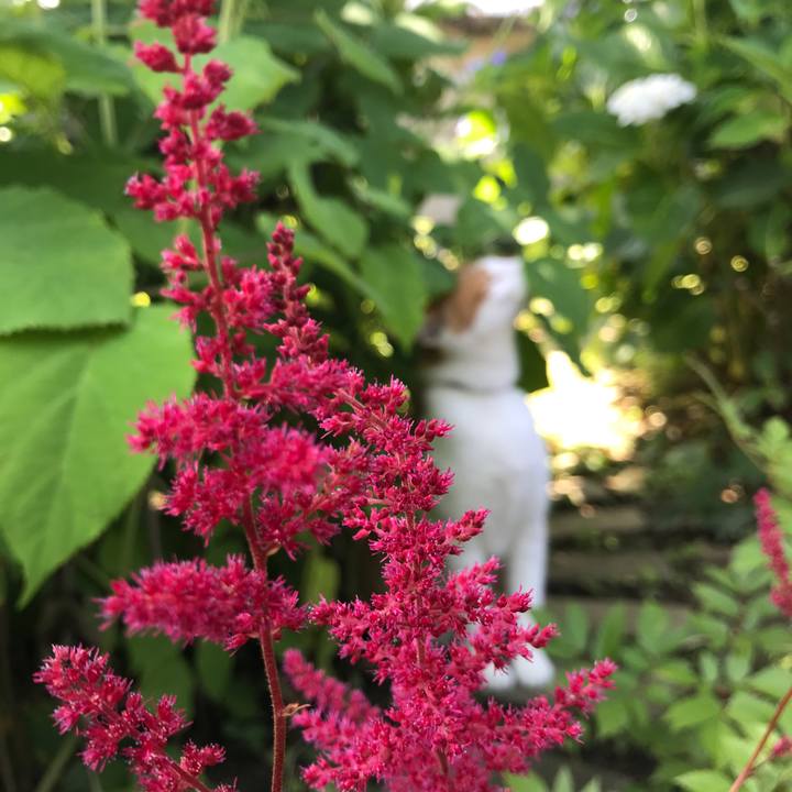 Dff872c0 b51a 4227 abc5 b8f6f4f26be1 1530321330743