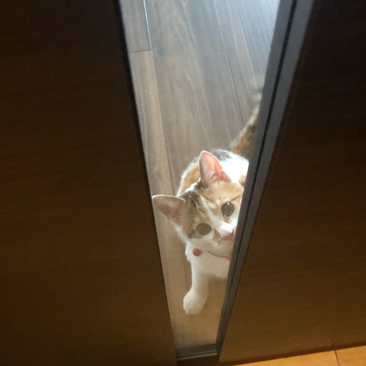 Dff891db 6753 42ad 8e33 c002b2971aa8 1568950754324