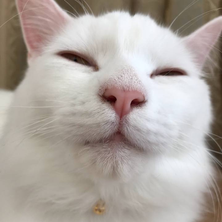 Dff8a656 97a4 4f11 8d49 862d3b654437 1538226632876