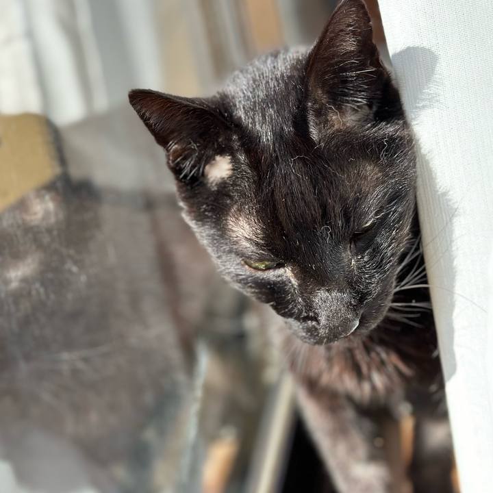 Dff8a688 0018 4dd5 b7f4 95e8488cbc17 1712797926261