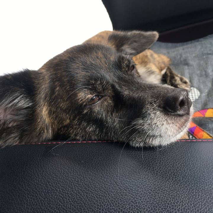 Dff8ac2f e6f0 4165 90bf 65a8e669900e 1538960347963