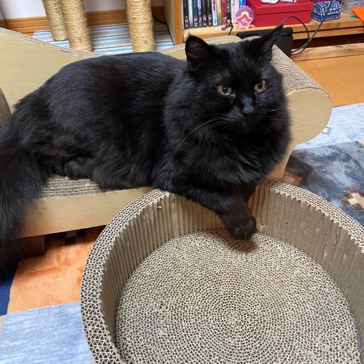 Dff91a7b 4334 46d7 b810 277d2d9d1527 1588768781551