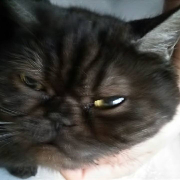 Dff93a83 69ea 4538 9770 cb3c4d50f73c 1551597934037