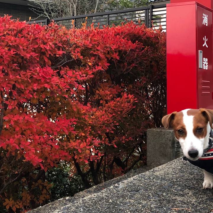 Dff97689 7379 4b24 9220 557b696d595b 1543365729754