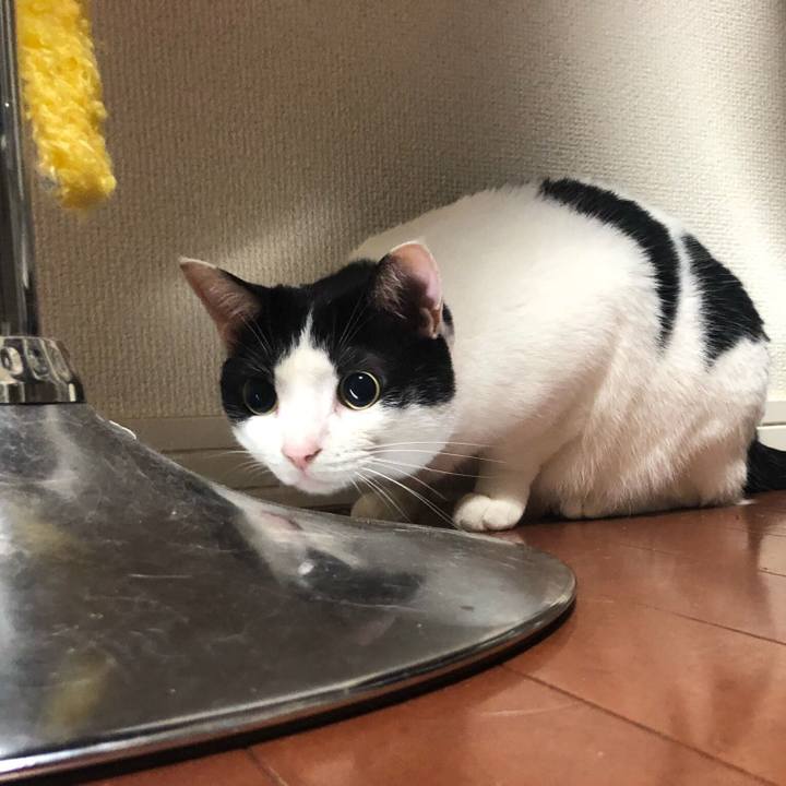 Dff98023 72af 45c9 a039 2cb306c2f4f0 1526999134798