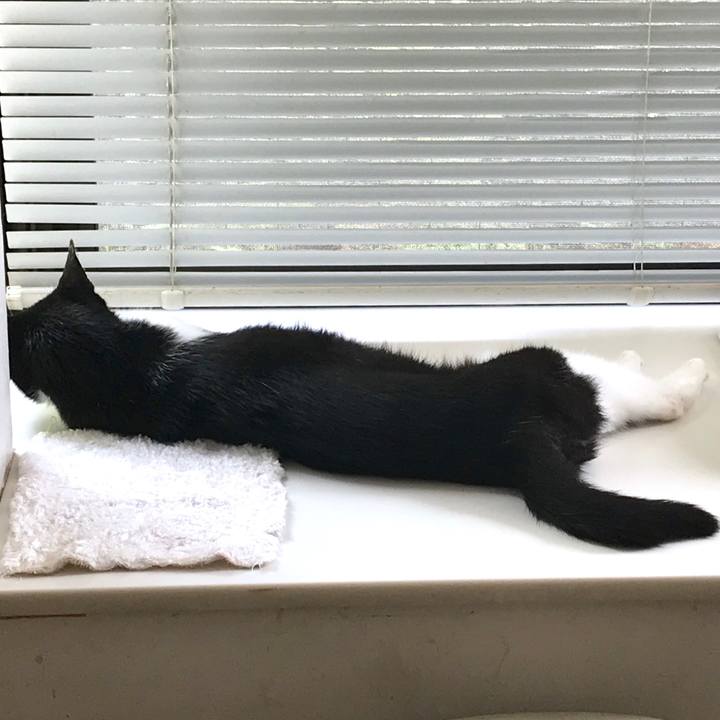 Dff98d8d 1b9f 4587 980e 3135de4848cb 1534922353813