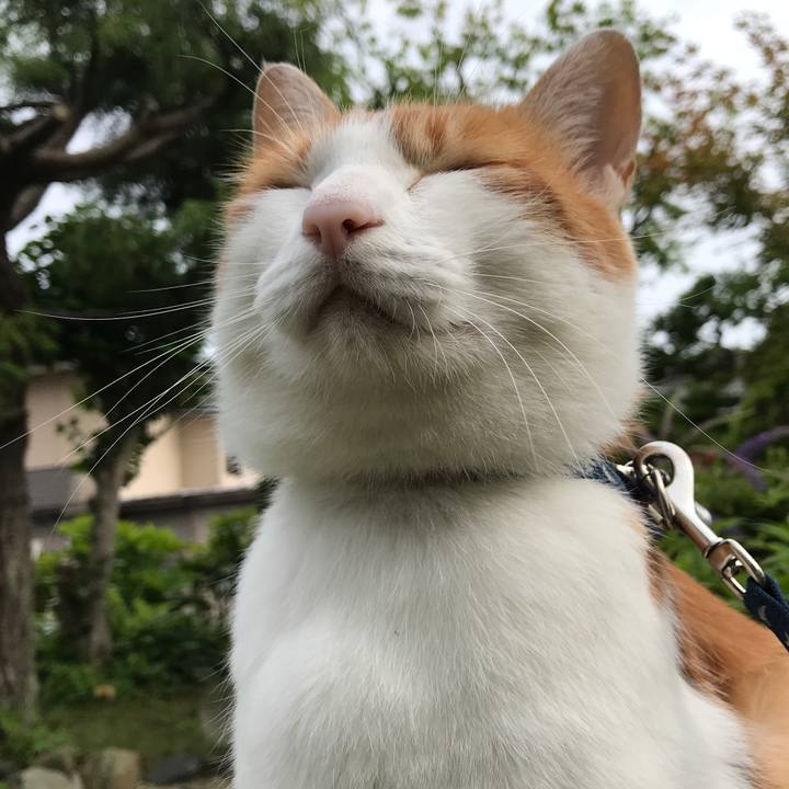 Dff9a587 b6e4 4bb7 928f e16c7f1079f9 1529311549726