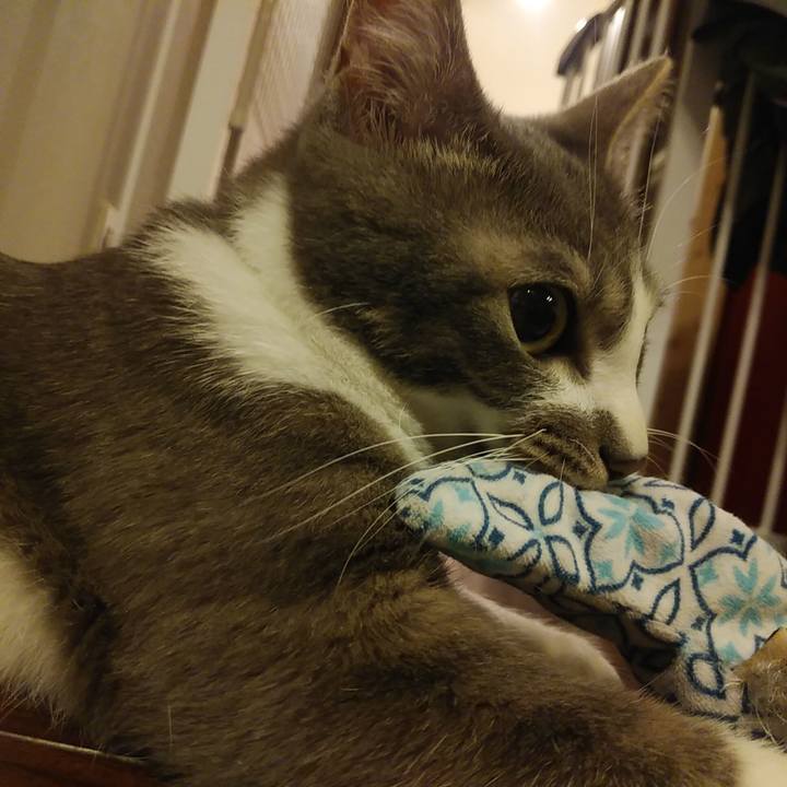 Dff9e150 b0c5 4c6f 9432 4e9829e3f15f 1590587593726