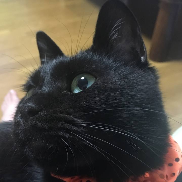 Dff9fcc2 cd80 4c11 82d8 5306a22d169b 1538813176420