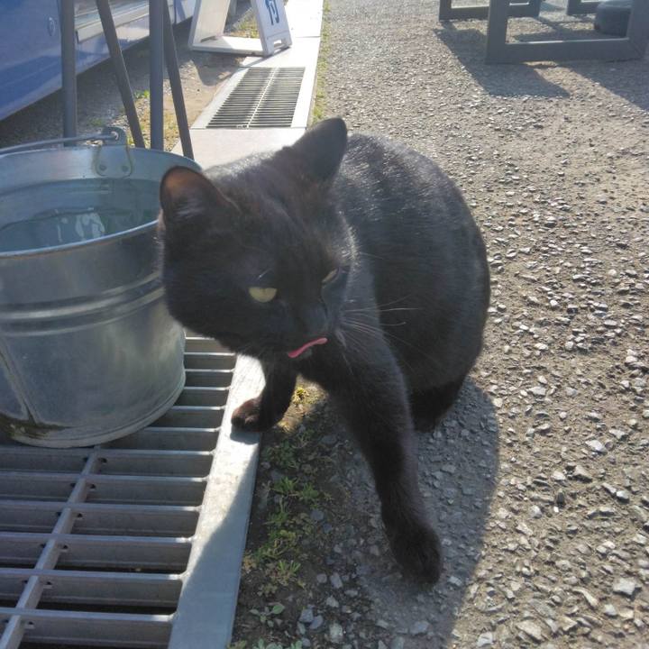 Dff9fcf3 9733 4b62 9063 2301434f42b7 1678445528701