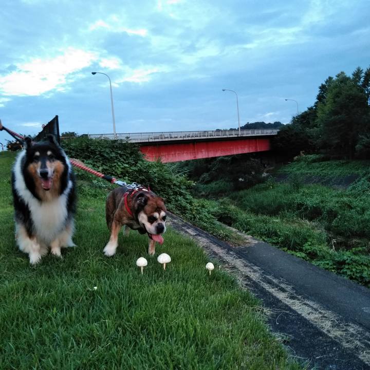 Dffa0509 c582 4288 8930 139230453374 1567426337593