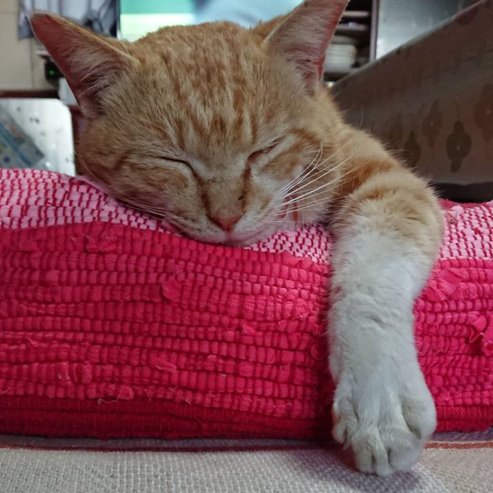 Dffa214e b61a 4b3c aa9a 30dab7cb5288 1554614737987