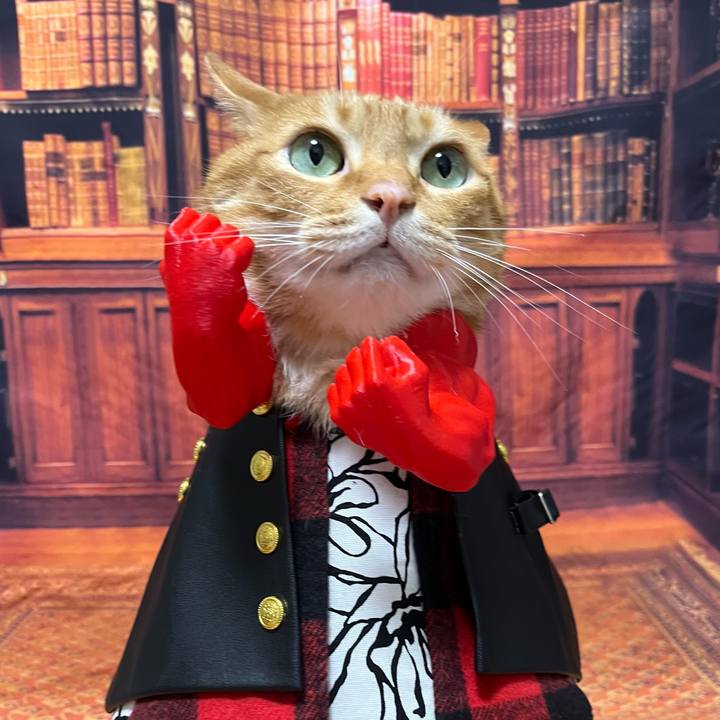 Dffa7f97 e503 4bdd 8ff1 e16b14070be9 1763101992035