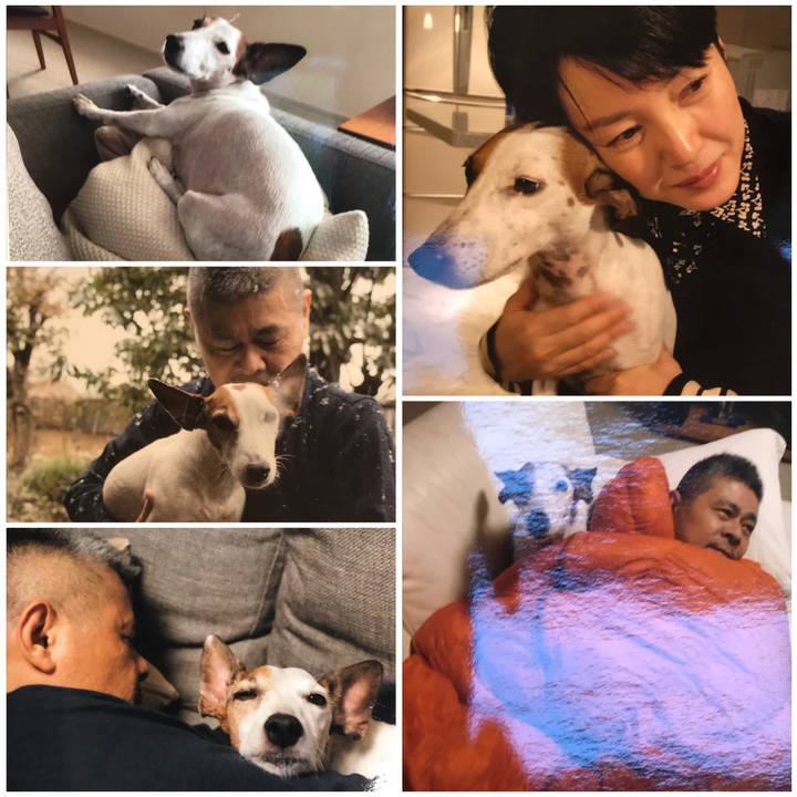 Dffa8448 955e 4e67 8296 22e00e5be956 1524302826124