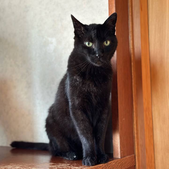 Dffa9fda b459 4e1a 92e0 80749a343be9 1686102276148