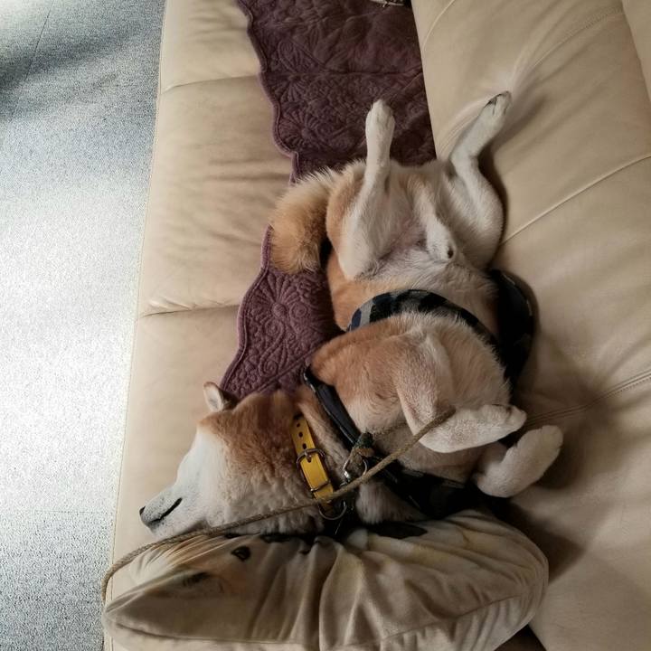 Dffad774 4d4e 4bc3 a437 a5d7d7344639 1672198413008