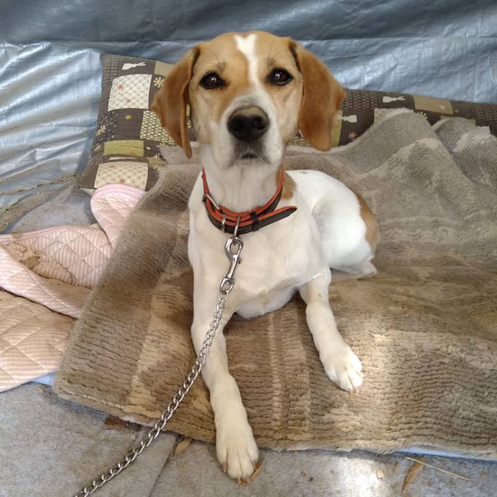 Dffaff4e da3f 4ea5 b0ec ef41a2fdd989 1621660588671