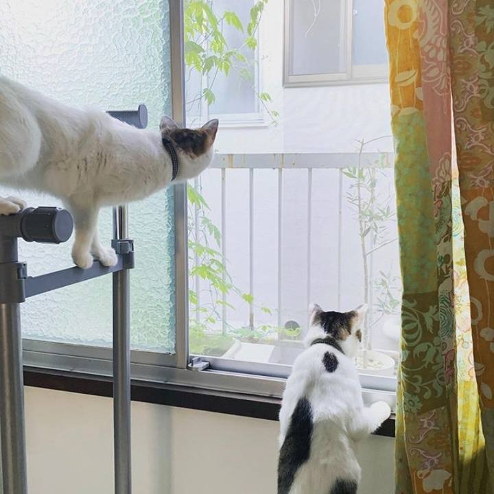 Dffb08ac 42fd 48b2 be32 d85934b49aff 1564377874683