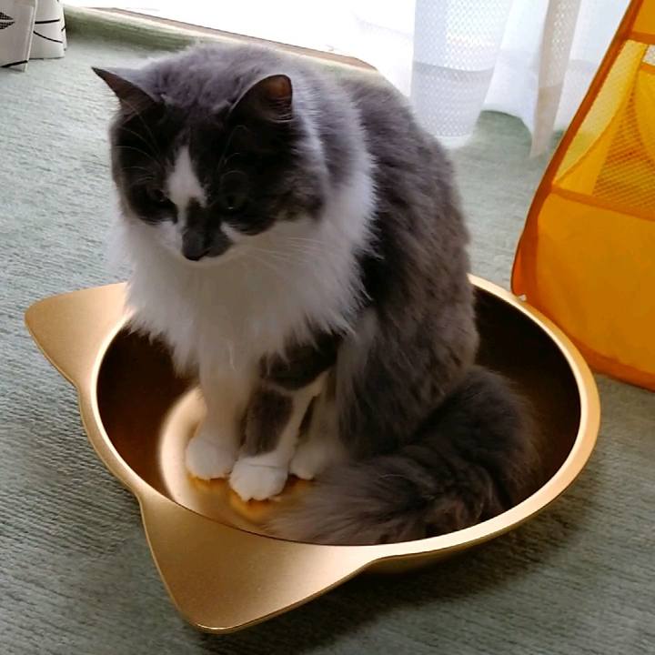 Dffb267c ea18 490e a736 093db3fbf1f2 1595138071343