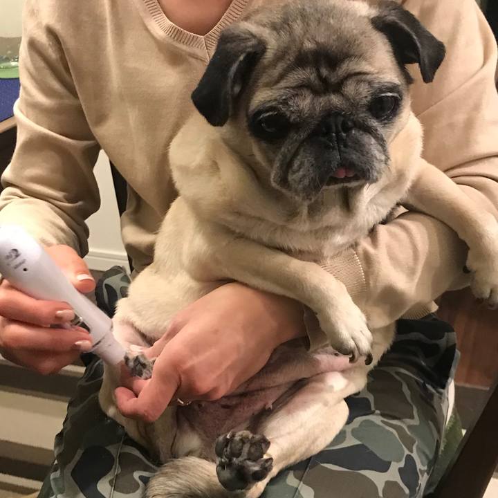 Dffb519b 87cb 434b 856e c867ae627107 1571232534142