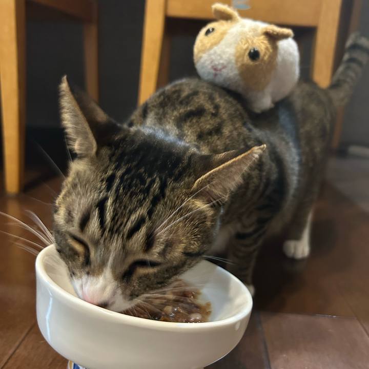 Dffb70f8 ce82 4589 ab54 50ad200ae818 1759053974238