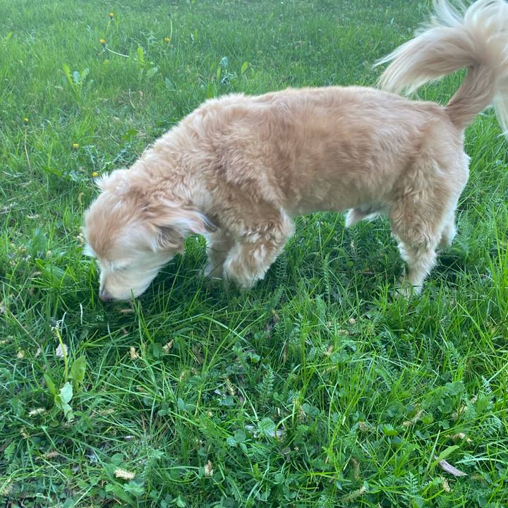 Dffb8abe 8a00 46f5 8e34 d890e2b99687 1776919906763