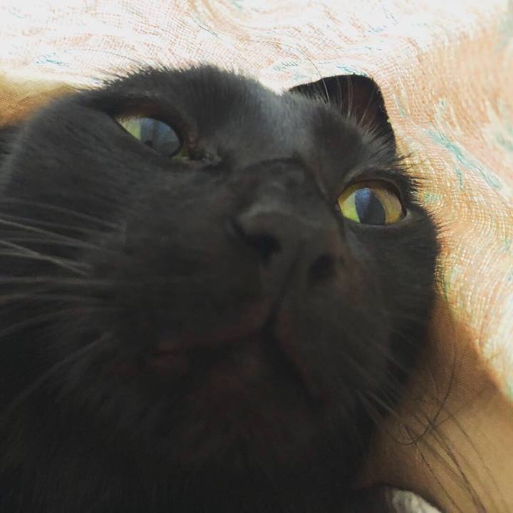 Dffbaad3 91e8 4917 a45d c7645fb0d379 1539484899197