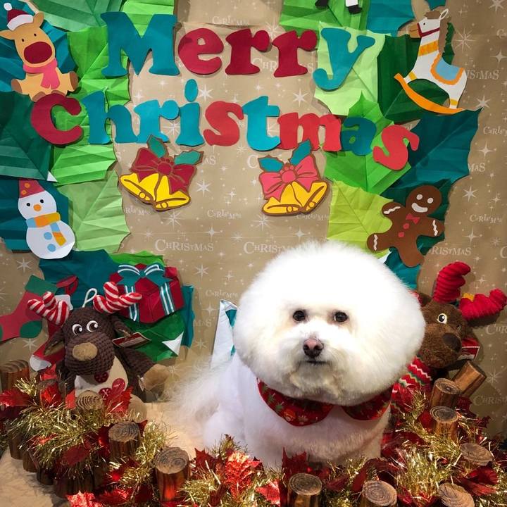 Dffbadc2 b963 4814 bbe7 9e40b986ea9f 1608893563484