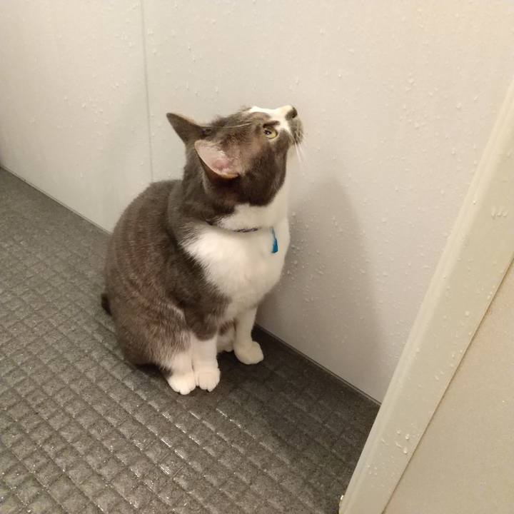 Dffbf02b d85e 4267 8818 e6b84141df91 1611611157331