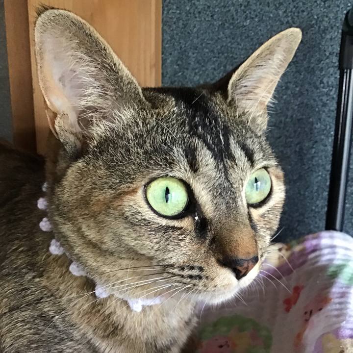 Dffc27b4 c145 4a18 8b4a 34a1f2464c5c 1592722598558