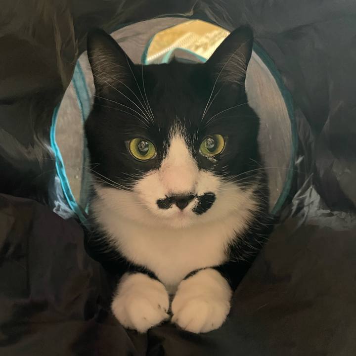 Dffc5588 f982 4cb7 9fc1 aa11488c0acf 1677450449412