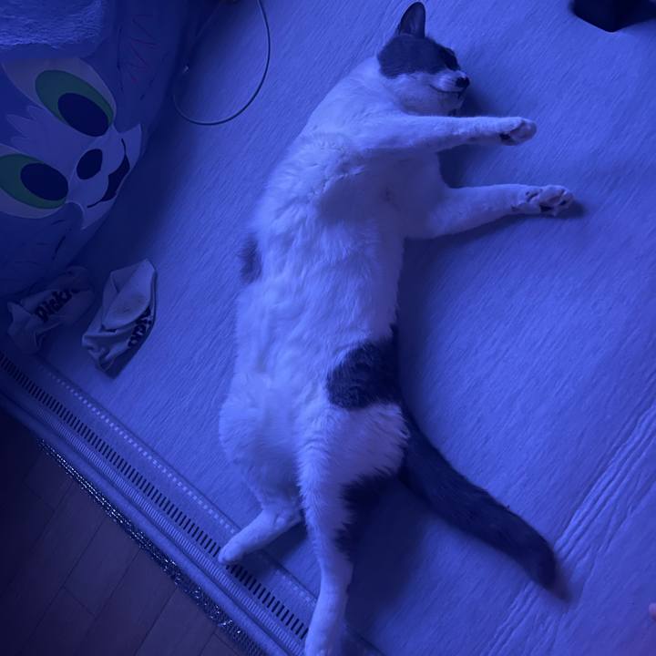 Dffc561c 8a52 4a6a ba27 cbab2b8b19a3 1751561341220