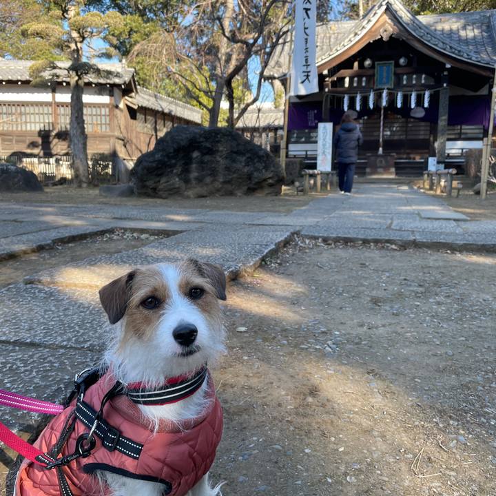 Dffc5cf3 86cb 4b0e 9b27 e4dc44218cc8 1769930662887