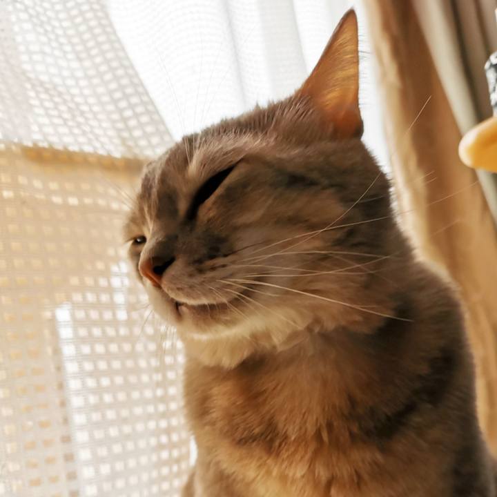 Dffc885e 9c4f 41f5 9ae7 9c79875abca2 1640844860977