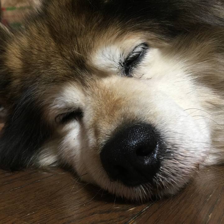 Dffc9877 f578 4ef1 abf0 dc761ed369f2 1564436665515