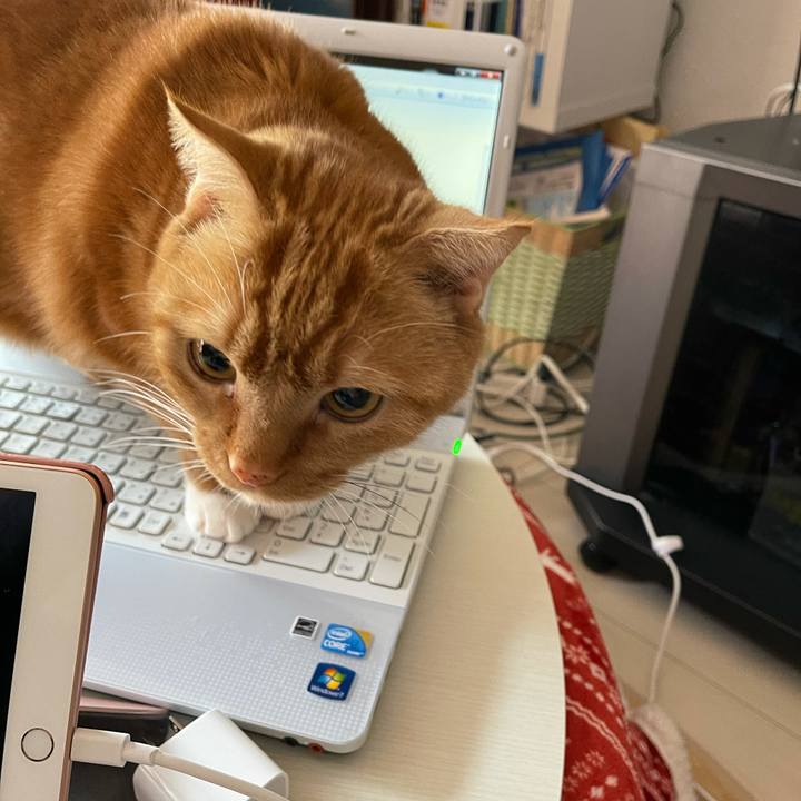 Dffcced1 4c6f 4f0e 9b9c e06ea094fd45 1613884488712