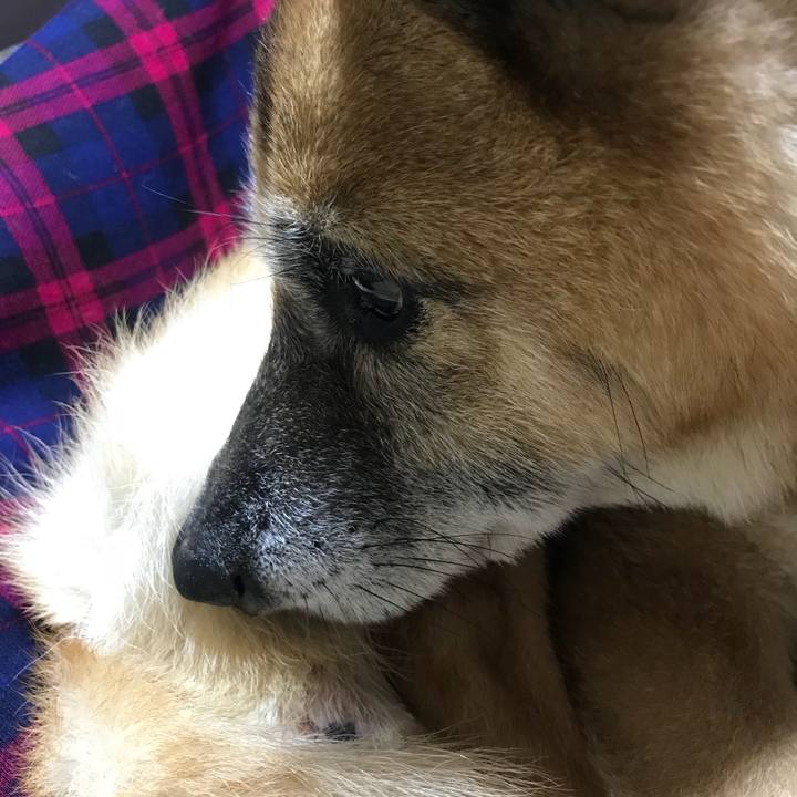 Dffcdbb6 3c6f 40f2 a7e9 b815fe20f1be 1538285327856