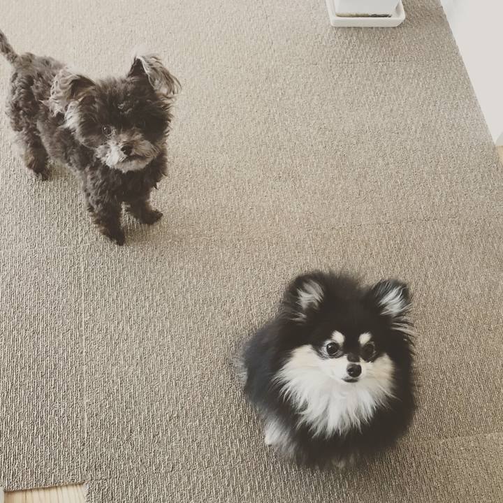 Dffd15b2 c0c2 48c6 bccf 128b291f376c 1524993203554