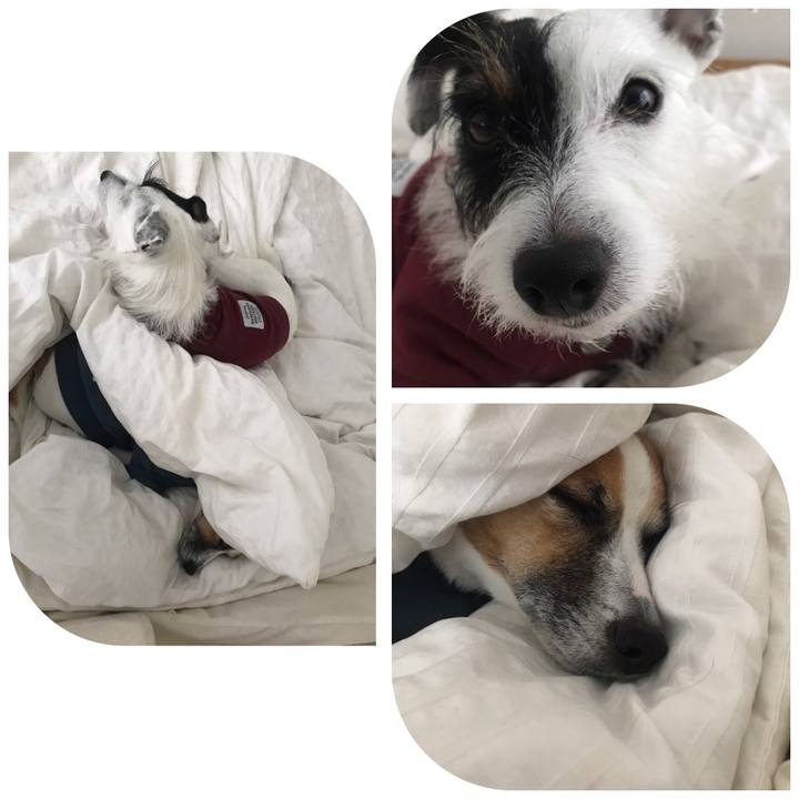 Dffd229a b47b 425f 859b 08d97da5aa2f 1542600069516