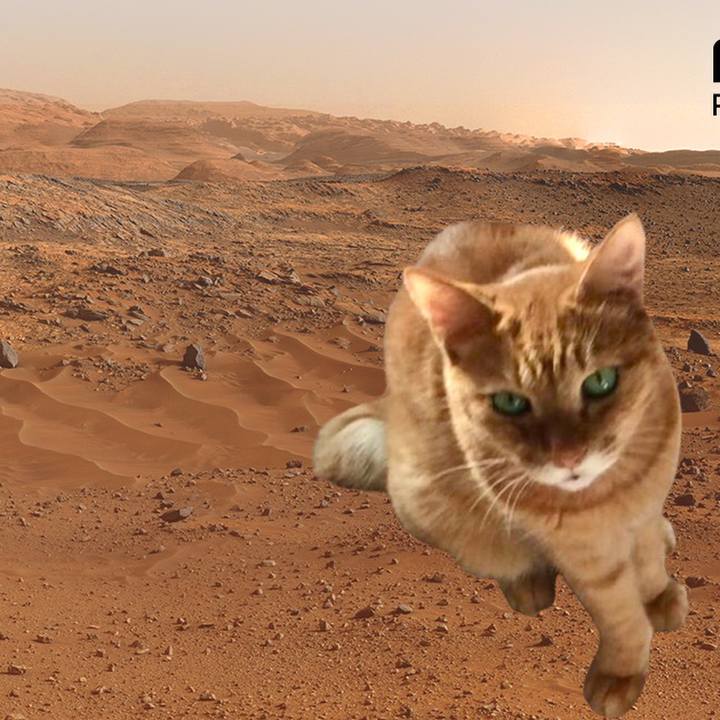 Dffd3829 b2a1 4fe8 a705 253b1d4b59a9 1613991925642