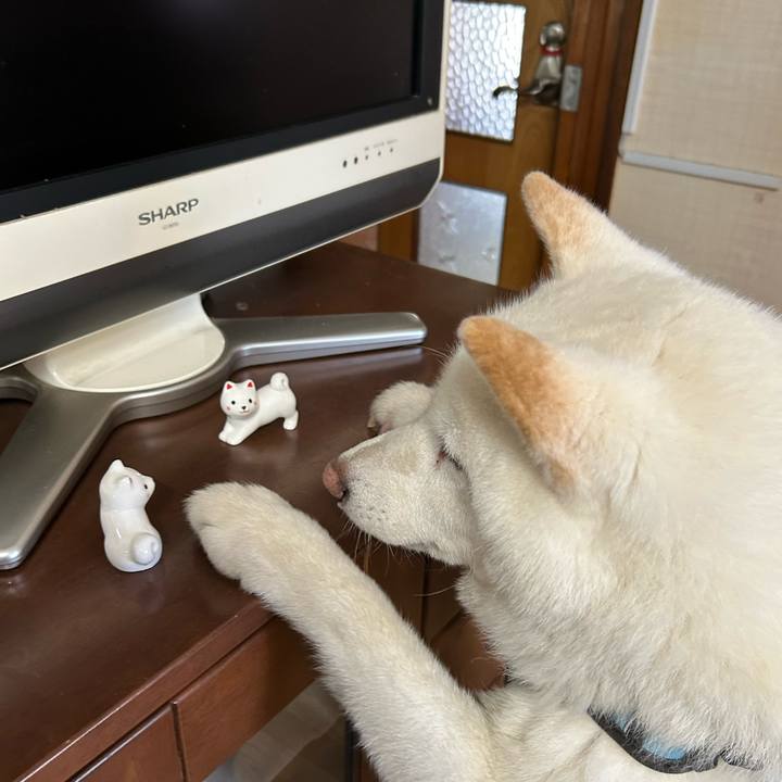 Dffd4d7b d736 4d42 af78 7bdc86a422b8 1752380757507