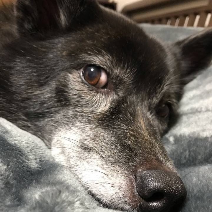 Dffdb0e3 c5ac 48fc 9e86 eea9e6f9372e 1541326921983