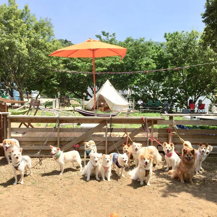 Dffdfad3 b6b4 4e40 819c c102d85ebd88 1527742614968