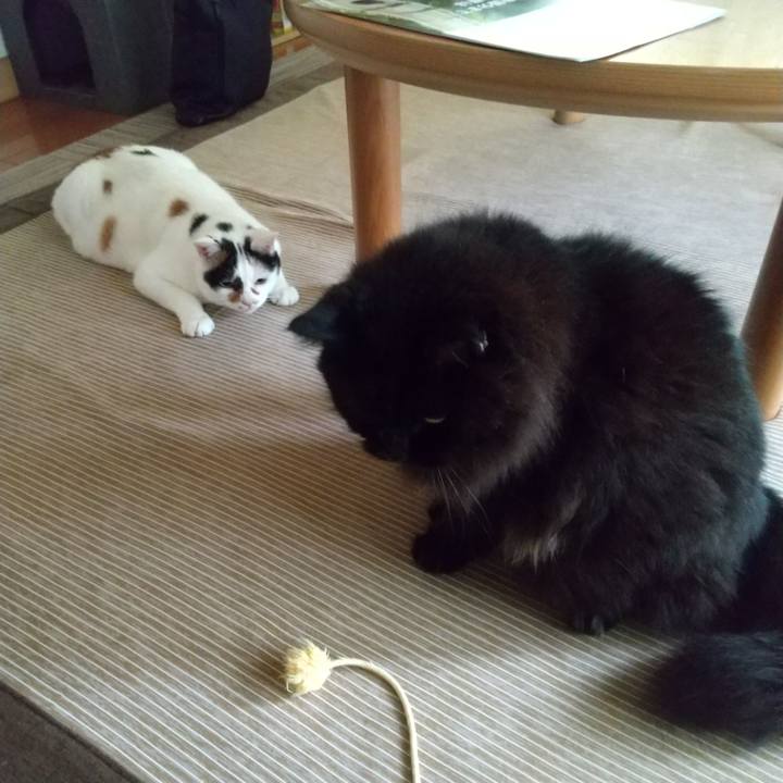 Dffe4443 d7a2 4013 a490 c64121b3db9d 1689721126332