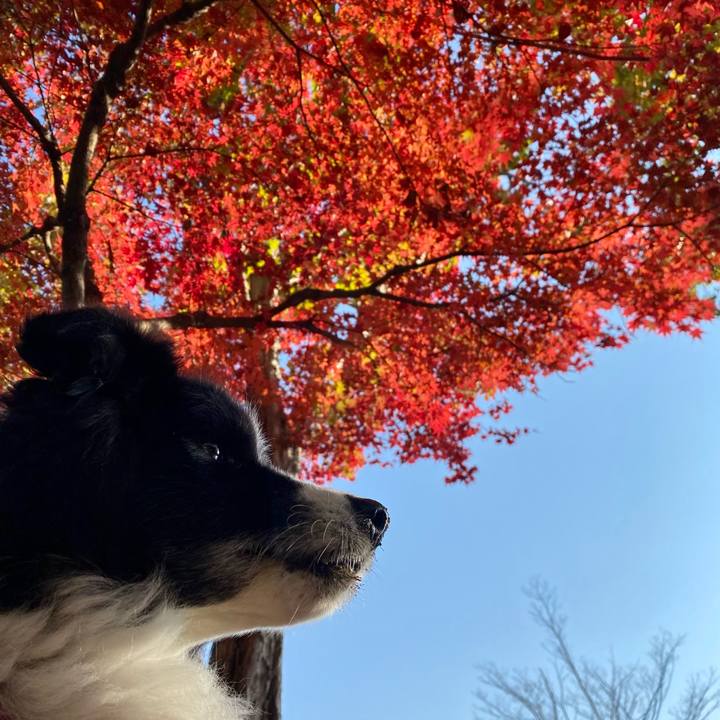 Dffe50dd ac1d 4709 9071 414c65f5ed18 1668556767863