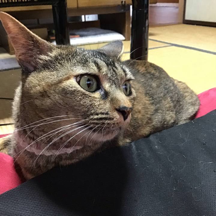 Dffe5f6f 2e18 4e45 90a7 cd3853ac1823 1657976506258