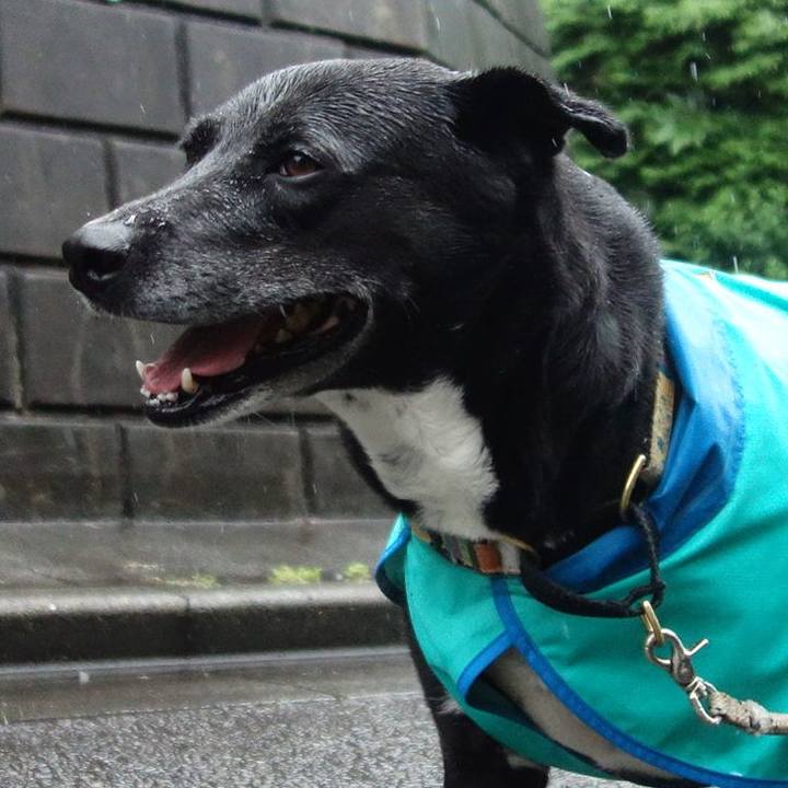 Dffe77c8 87f4 452e be85 76ea5f531ffa 1685665353228