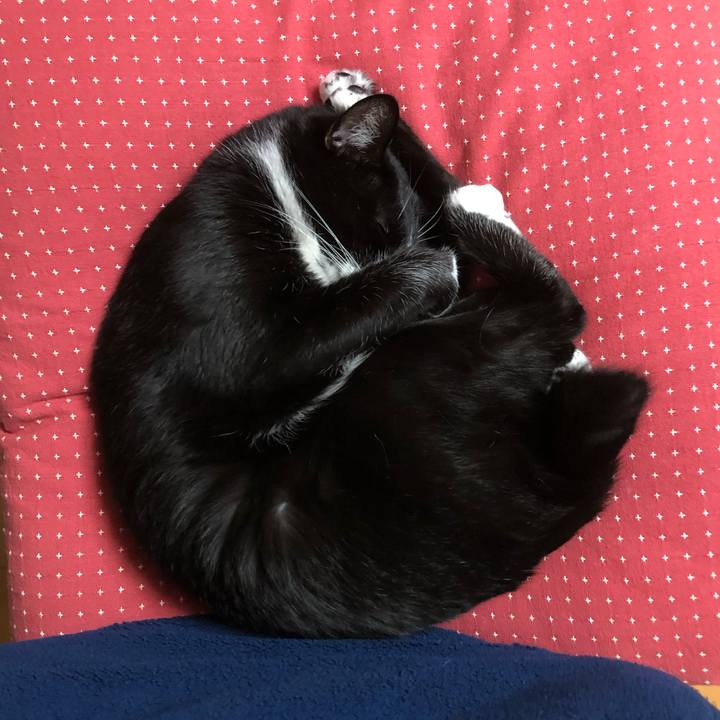 Dffebdcd f77d 4878 a4bf 8cd9147bcdc4 1544499962733