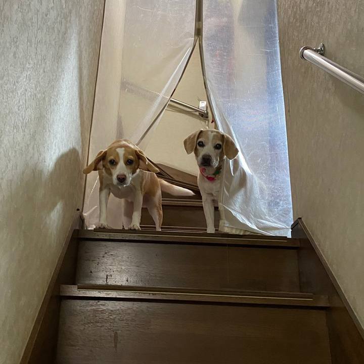 Dffec51b 4757 4260 9a1f 92400bb500f8 1627953589348