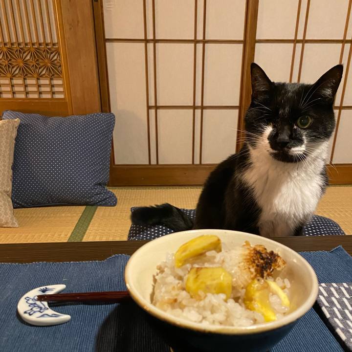 Dffefb35 55c9 465f 8549 58545fbd4013 1665228364958